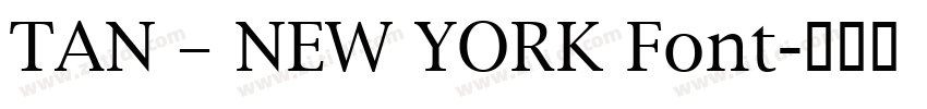 TAN – NEW YORK Font字体转换